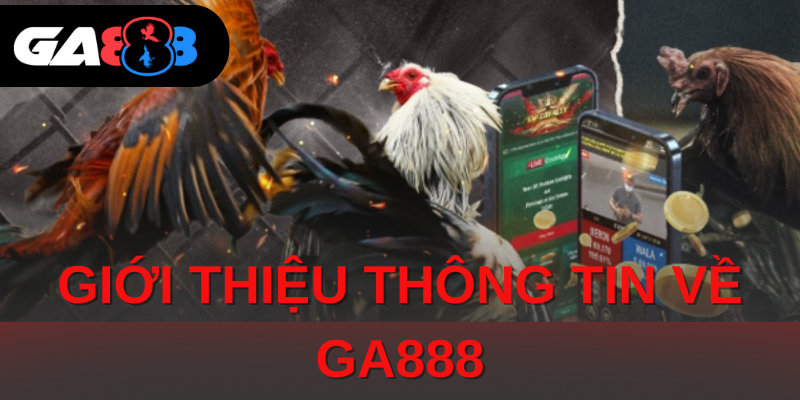 GA888 - Thế Giới Đá Gà Đặc Sắc Với Vô Vàn Phần Thưởng Khủng